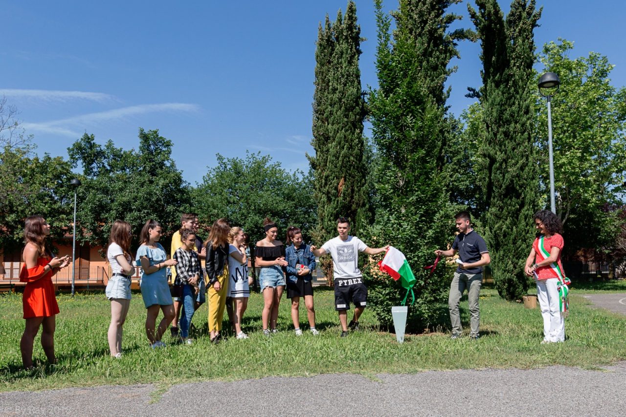 Un albero al parco per i ragazzi del 2000 FOTO