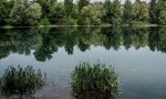 Bagno nel laghetto dei riflessi il Parco del Serio prende provvedimenti
