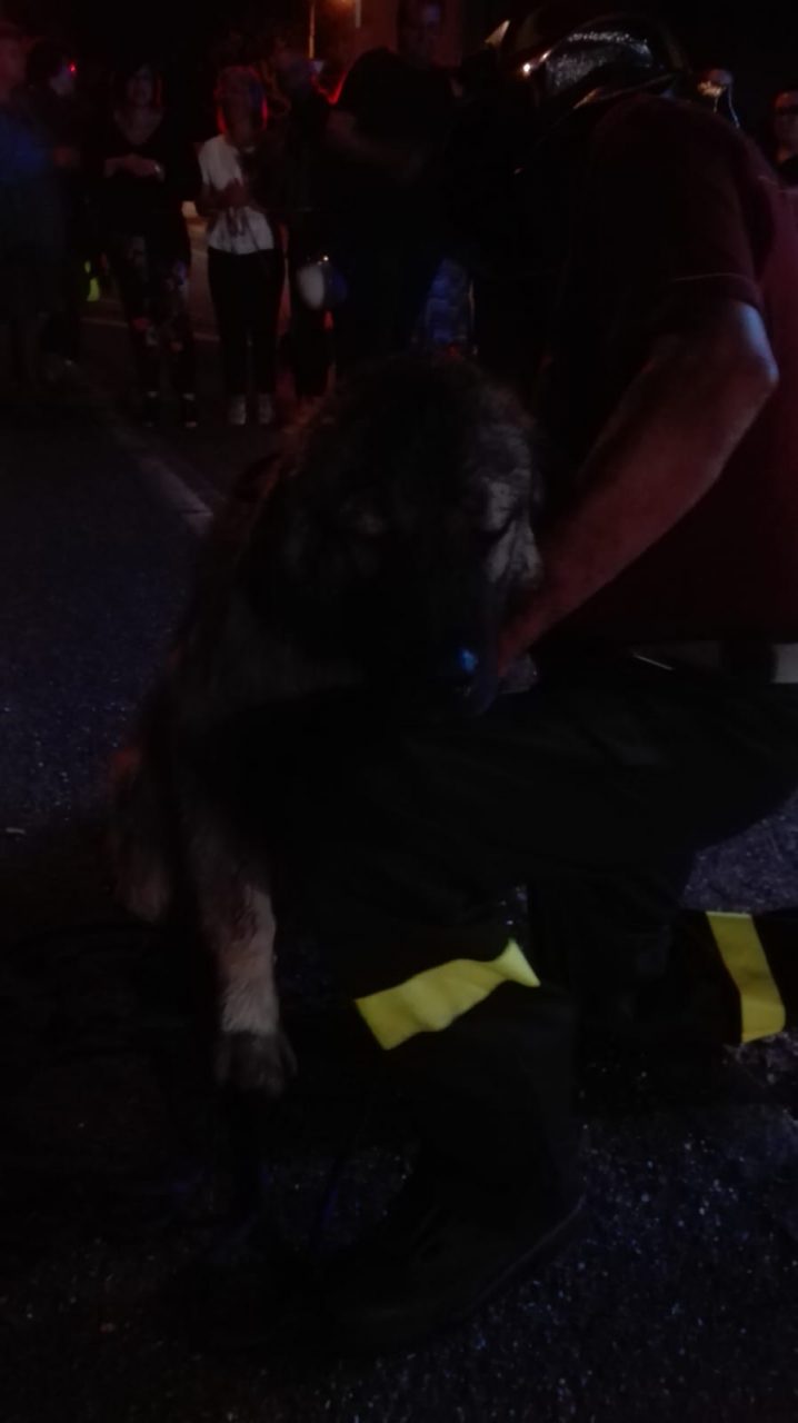 cane finisce nella roggia a Canonica