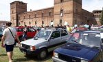 Panda a Pandino: il raduno della piccola di casa Fiat batte il record mondiale - VIDEO E FOTO