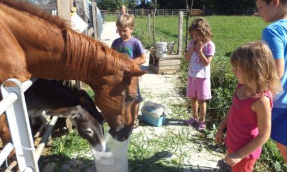 Cascina Pezzoli, dove i bimbi tornano alle origini