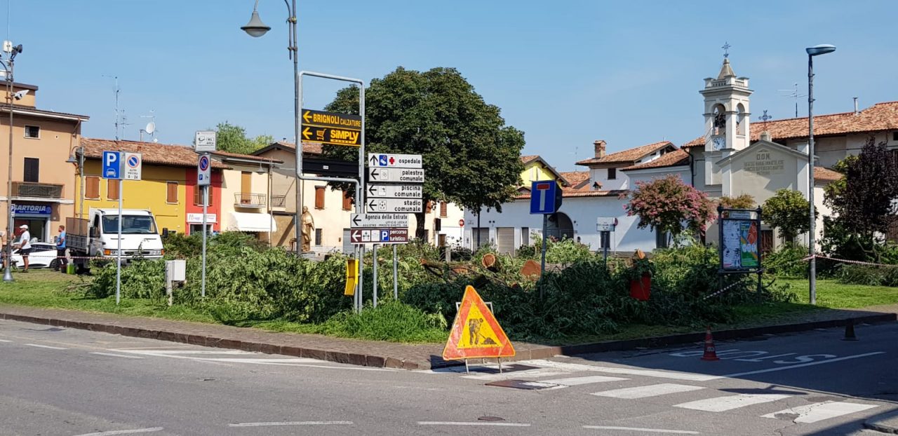 Via gli alberi, nasce così la “nuova” piazza Papa Giovanni XXIII FOTO