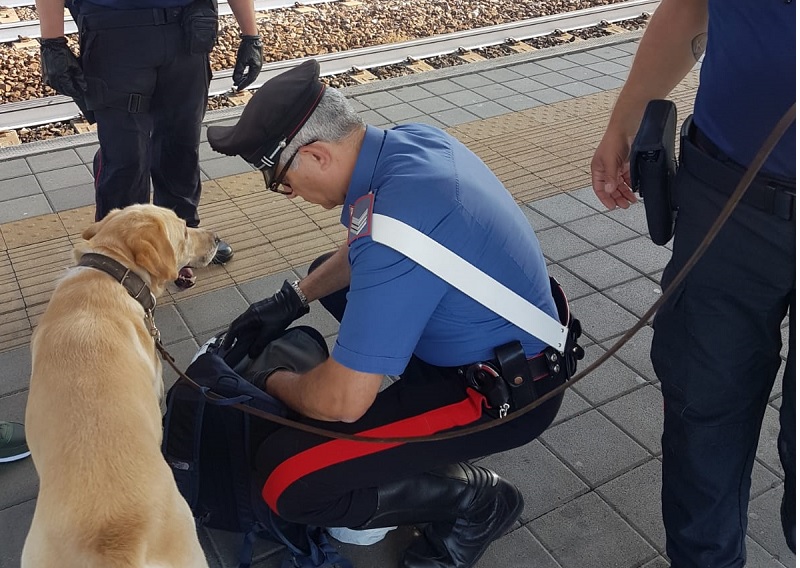 Carabinieri in stazione, controlli a tappetto in tutti gli scali della Bassa FOTO