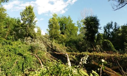 Maltempo abbatte alberi, sentieri chiusi nel bosco di Fara