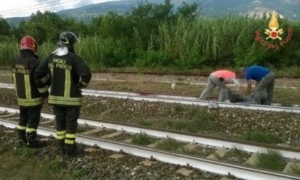 I bimbi uccisi dal treno in Calabria abitavano nel milanese