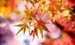 Autunno alle porte, piogge e vento nel weekend