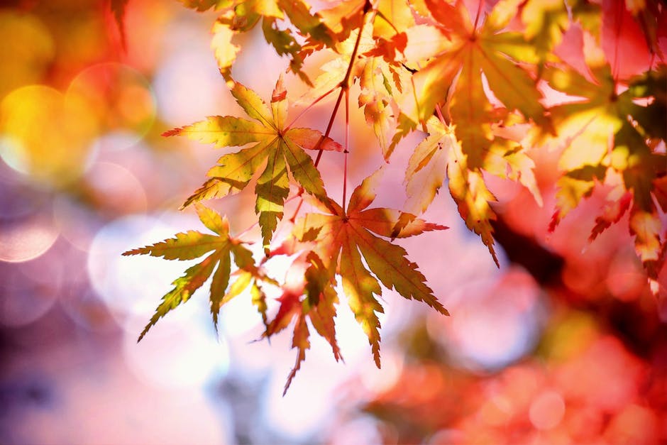 Autunno alle porte, piogge e vento nel weekend