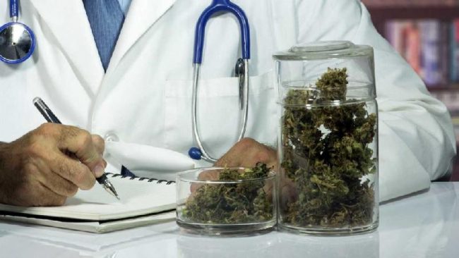 Cannabis terapeutica, c’è l’ok in Lombardia