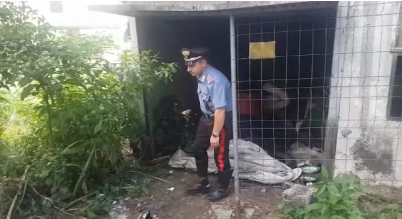 Maxi blitz antidroga a Palosco: ecco i risultati dell’operazione