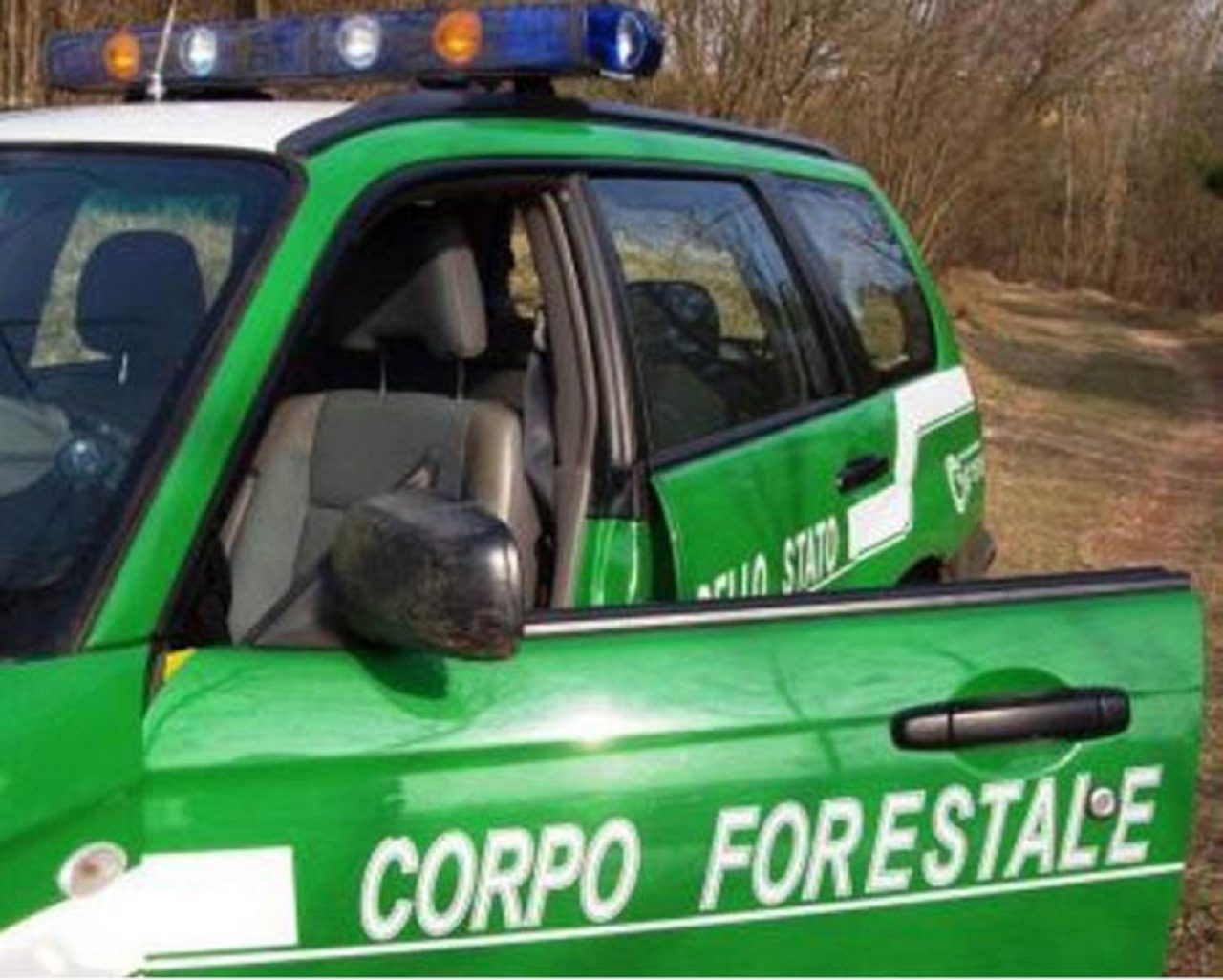Cinquantanove cani ammassati in un capannone