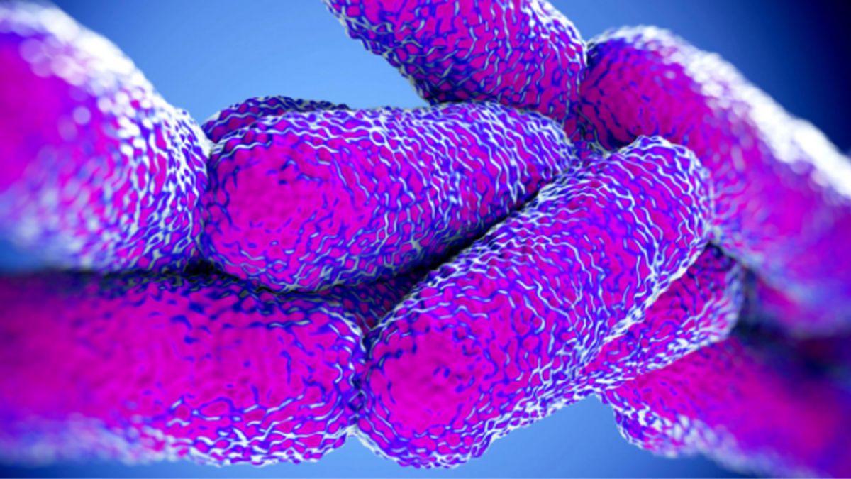 Dopo Bresso, allarme legionella anche nel Bresciano