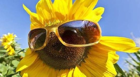 Meteo del weekend, l’estate continua in Lombardia