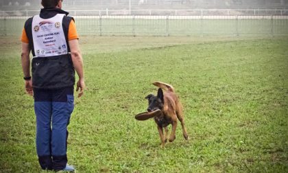 Soccorso a quattro zampe, Hacker primo tra gli italiani a Lubiana VIDEO