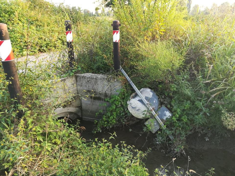 Vandali scatenati beccati grazie alle fototrappole