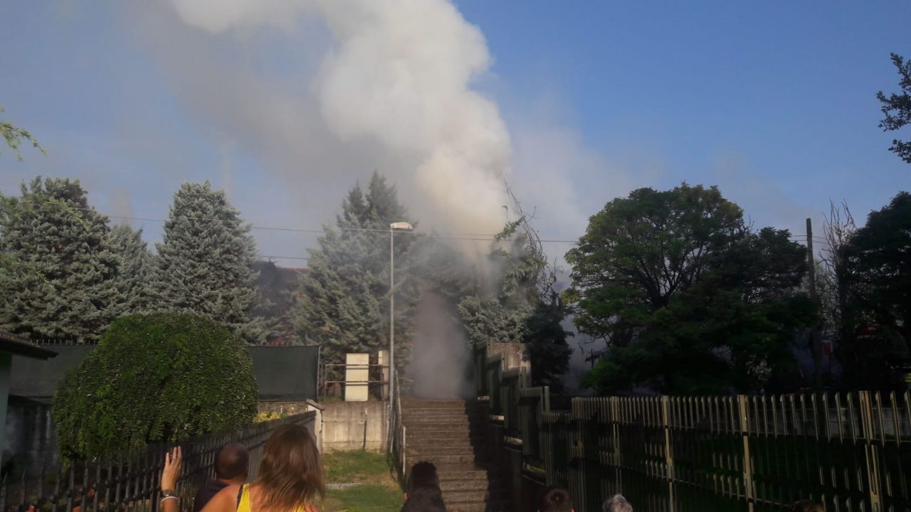 Ragazzini appiccano fuoco agli alberi del viale, è un disastro FOTO
