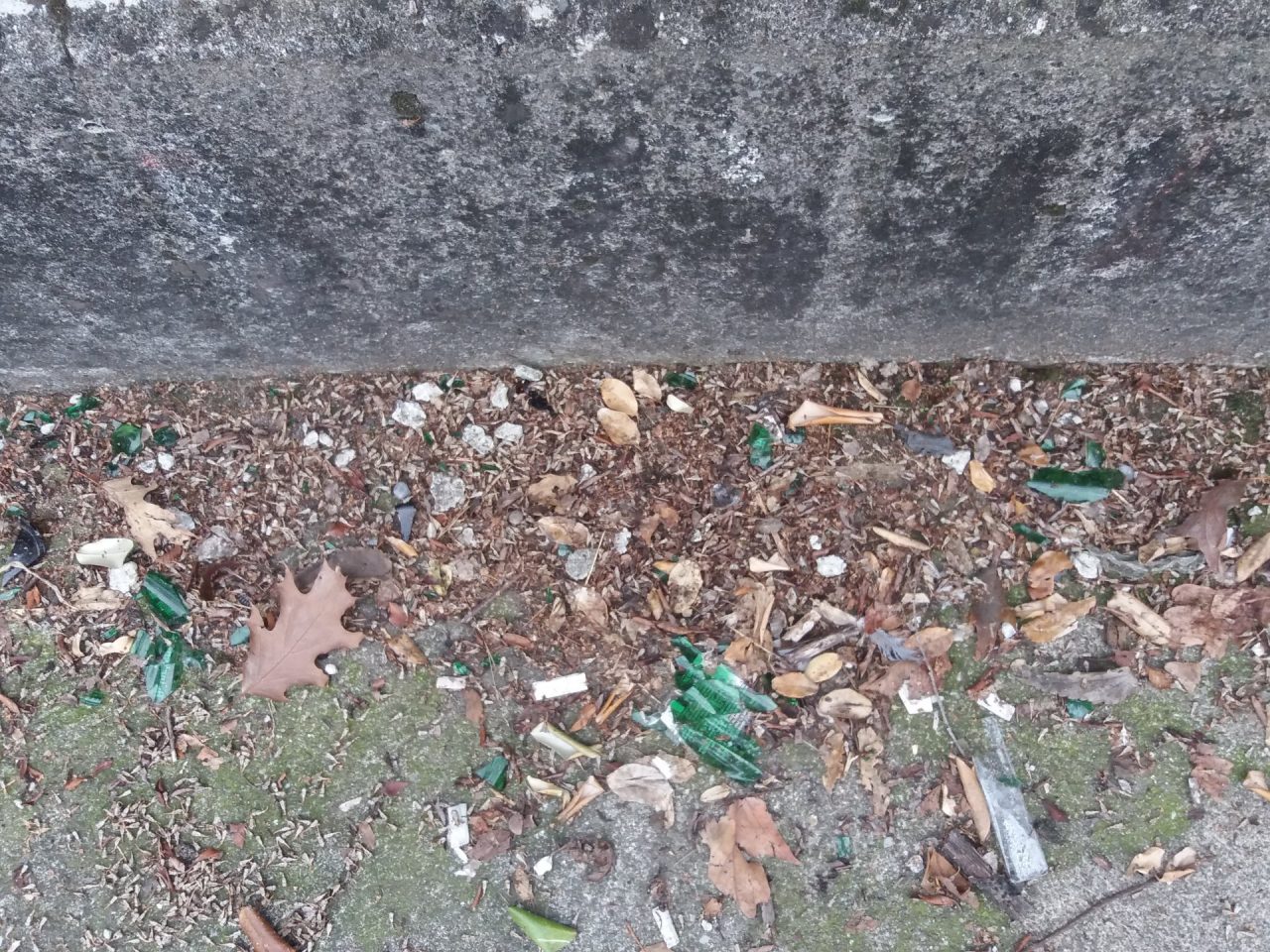 vetri al parco ghisalba