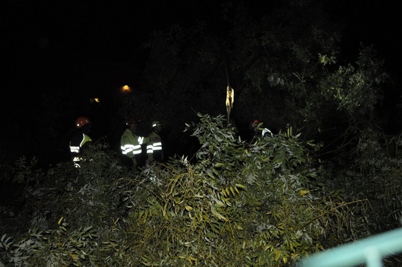 protezione civile all'opera a Cologno