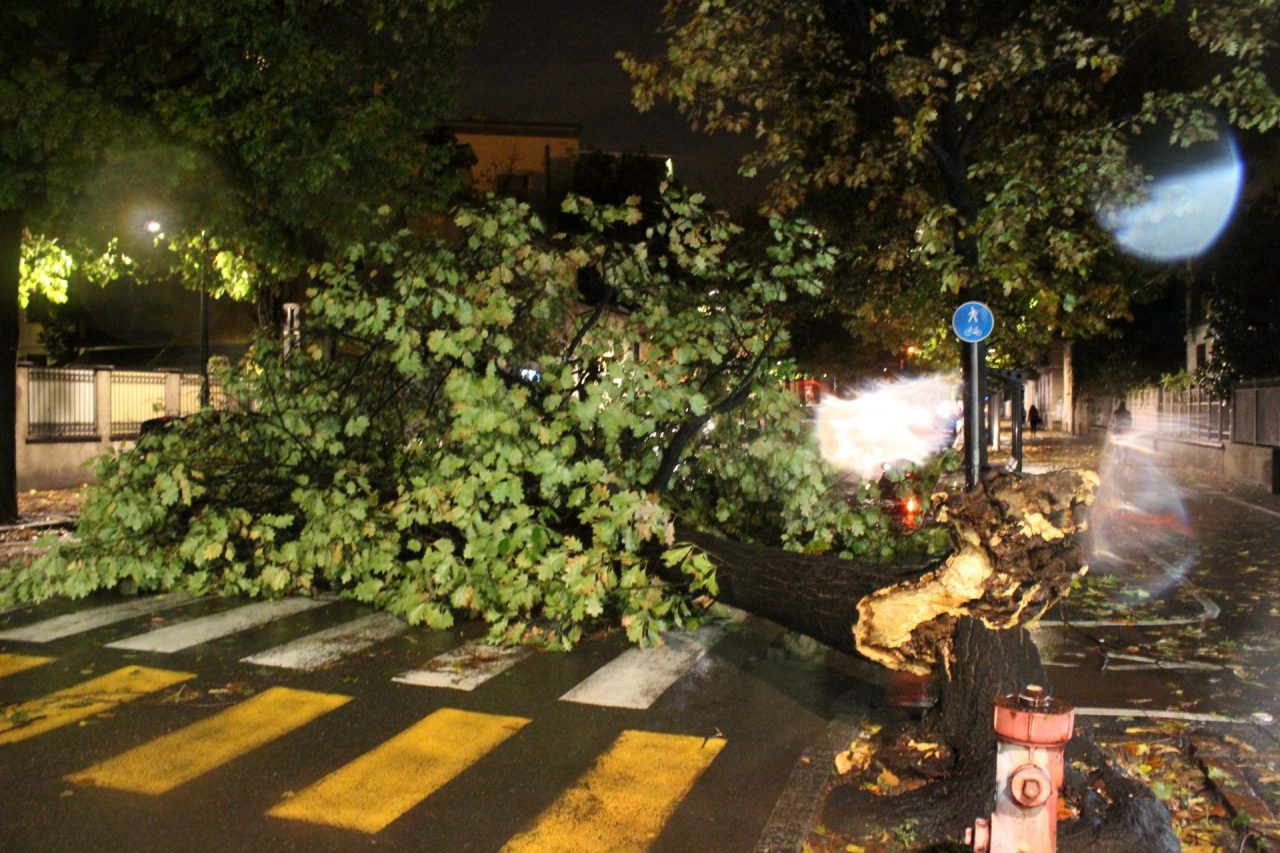 Maltempo, vento e temporali: codice giallo su tutte le province lombarde