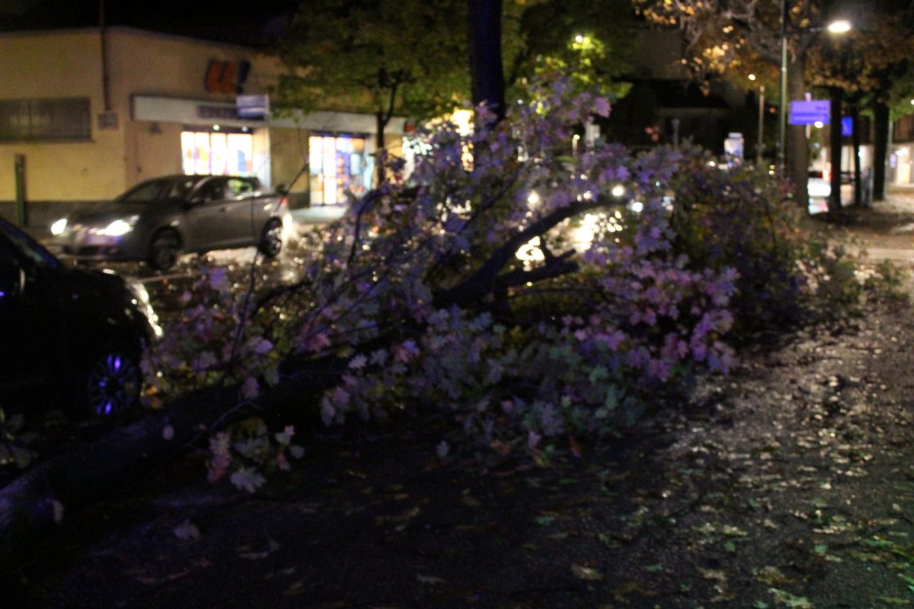 Maltempo Treviglio - Viale della stazione