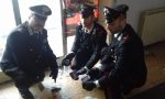 Operazione antidroga a Zingonia, sequestrato un chilo di droga VIDEO FOTO