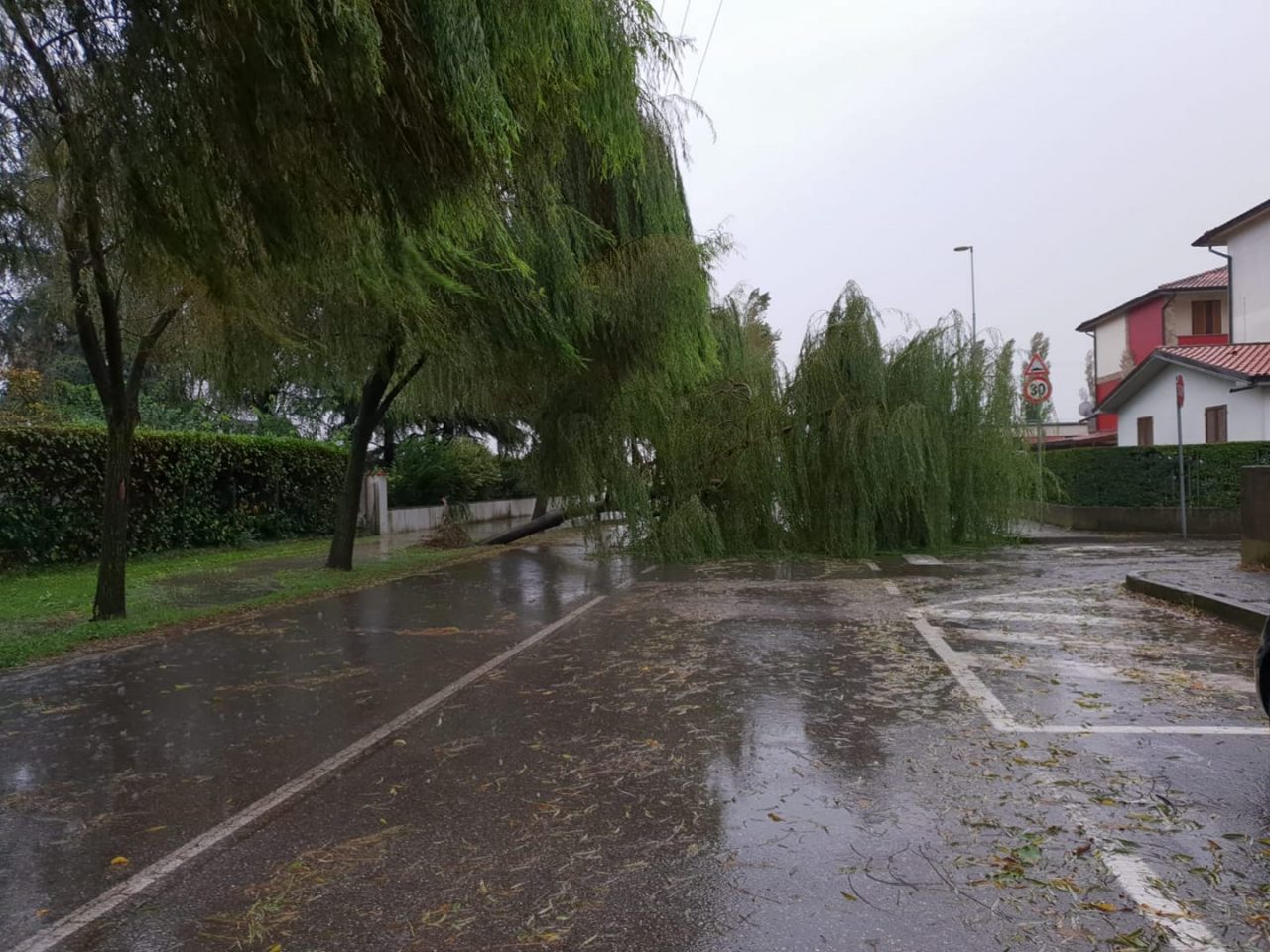 Maltempo Bassa | Alberi abbattuti, infiltrazioni e rogge esondate FOTO