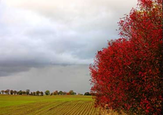 Ancora qualche giorno di sole poi pioggia e temperature in calo PREVISIONI METEO