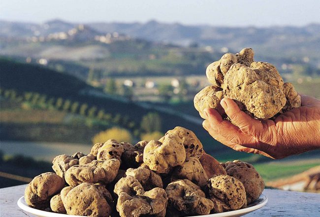 Prezzo tartufo in calo: è il momento di una gita in Piemonte