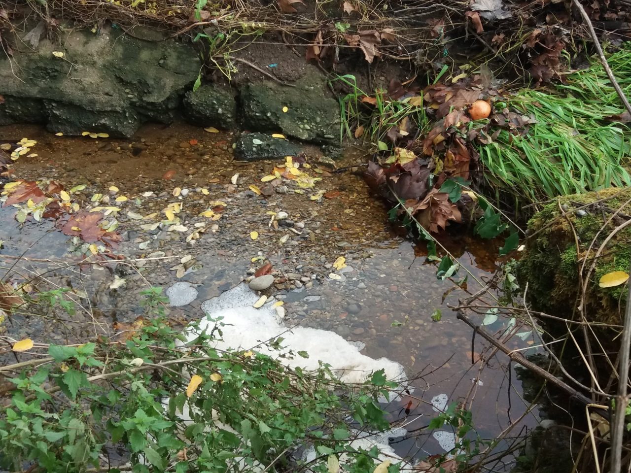 Schiuma nella roggia e acqua color ruggine, indagini in corso FOTO VIDEO
