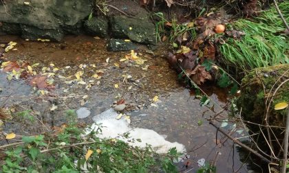 Schiuma nella roggia e acqua color ruggine, indagini in corso FOTO VIDEO