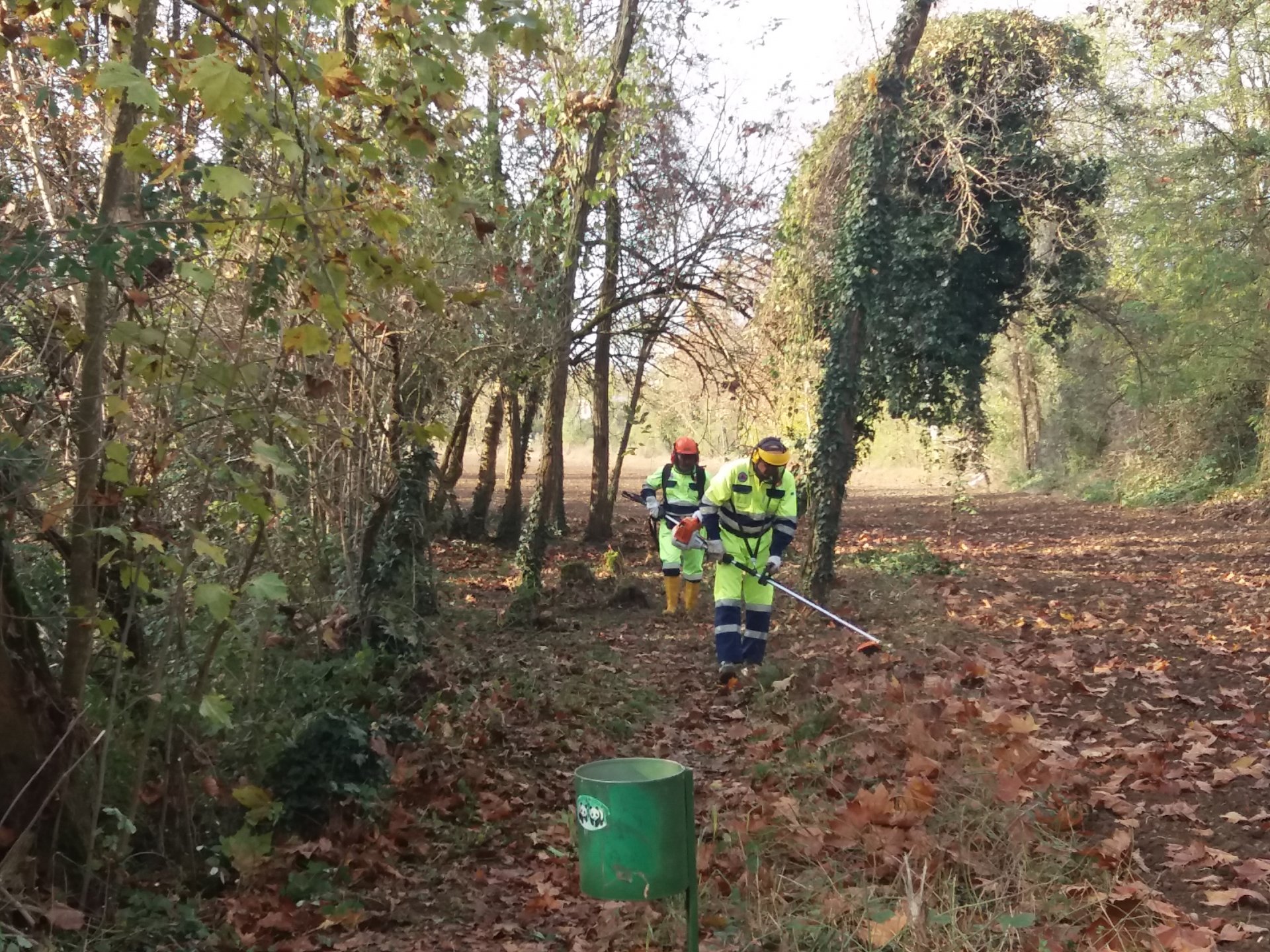 pulizia del sentiero molino protezione civile palosco