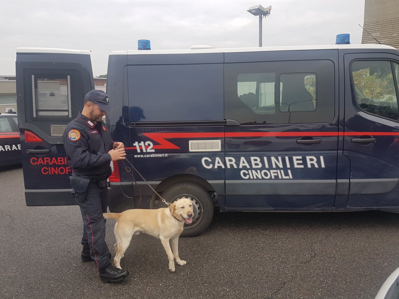 “Quei bravi ragazzi” di Dalmine, niente droga nelle scuole