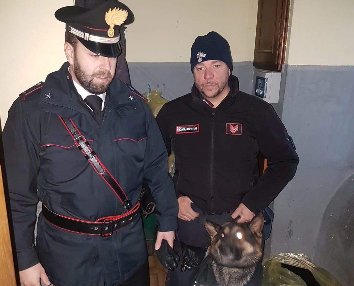 Maxi blitz dei carabinieri nel fortino dello spaccio a Palosco