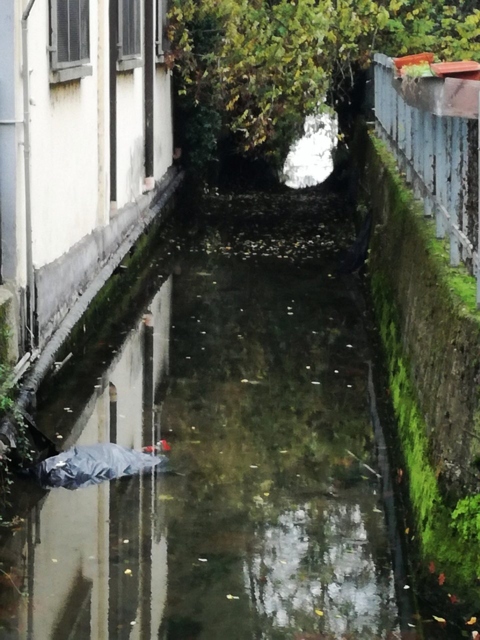 Spazzatura nella roggia