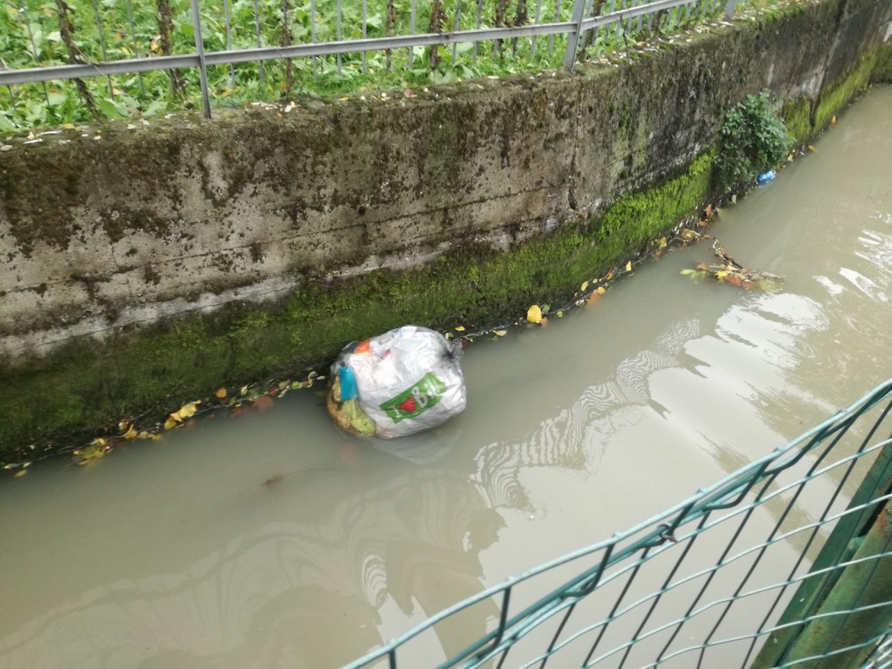 Spazzatura nella roggia in via Jenner FOTO