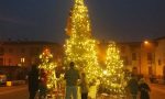 Alberi di Natale in piazza per aiutare il Veneto colpito dalle alluvioni FOTO