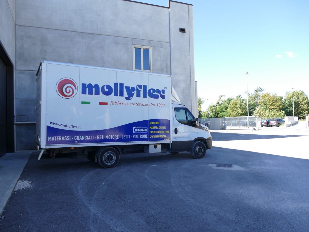 Mollyflex