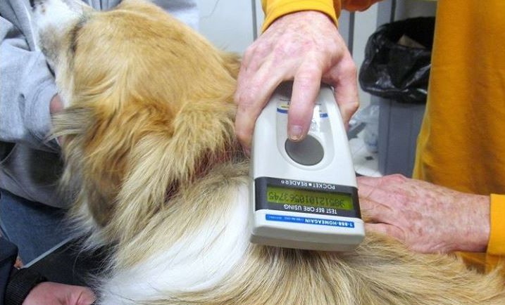 Controllo microchip in paese: per la minoranza è una fandonia