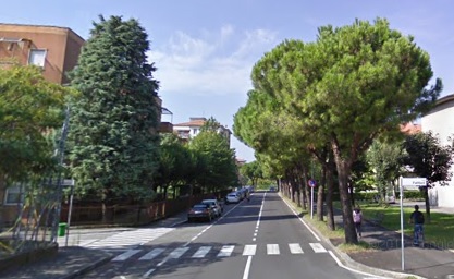 Pini marittimi, i “mal di pancia” in maggioranza (forse) li salveranno