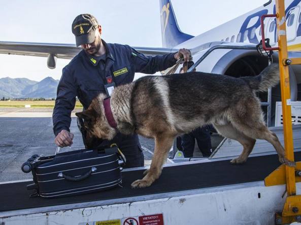 Un arresto a Orio per traffico internazionale di droga