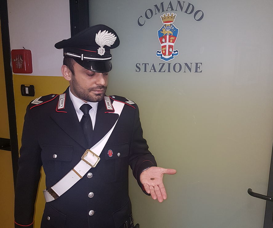 Controlli antidroga a scuola a Treviglio e Caravaggio