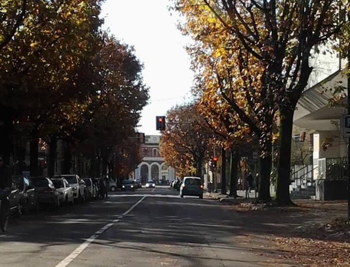 Piante abbattute in viale Piave e via De Gasperi, ma in primavera nuovi alberi