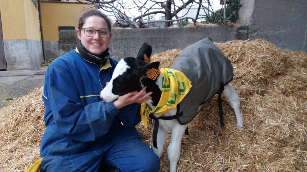 Cappottini e lampade riscaldanti: così gli allevatori proteggono gli animali dal freddo