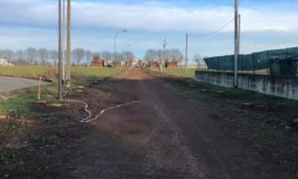 Addio ai cipressi sul viale del cimitero