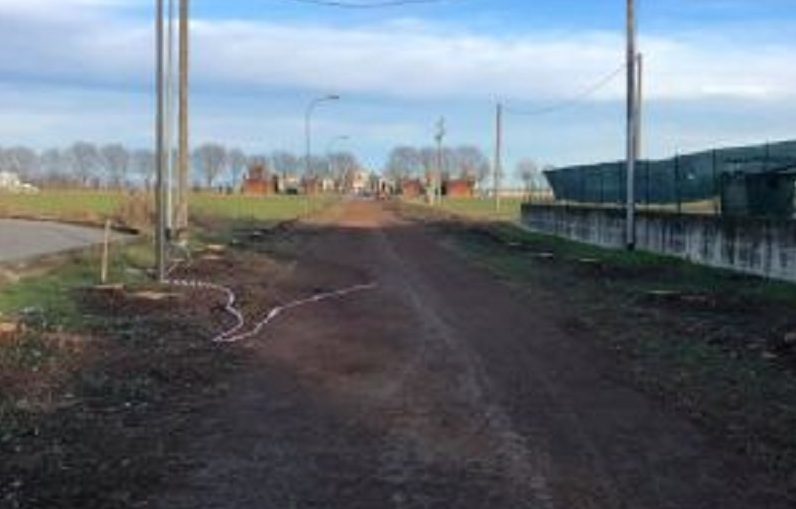 Addio ai cipressi sul viale del cimitero