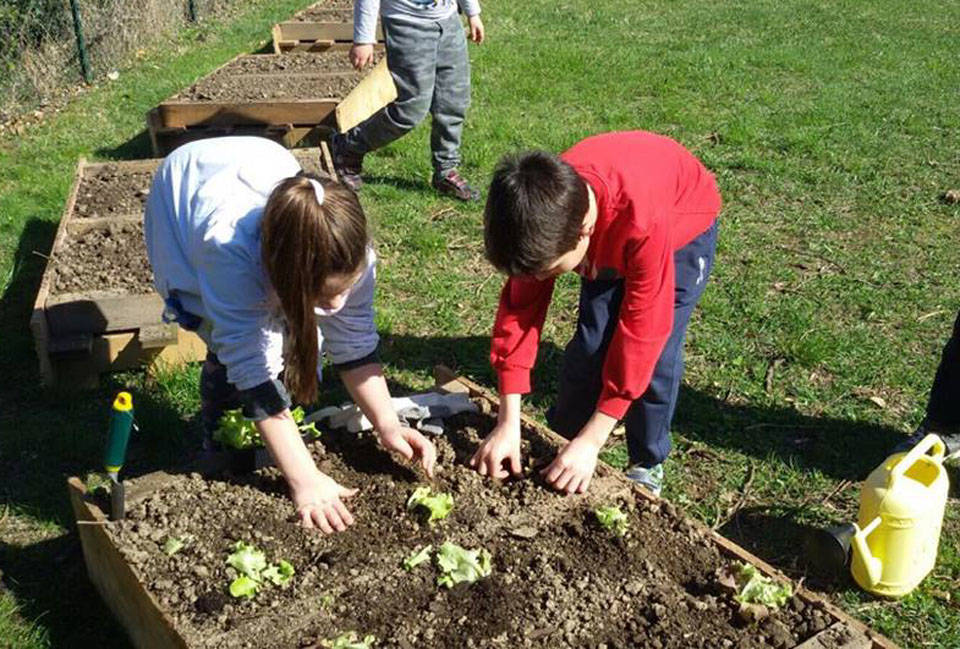 Il Consiglio dei ragazzi vuole l’orto didattico a scuola