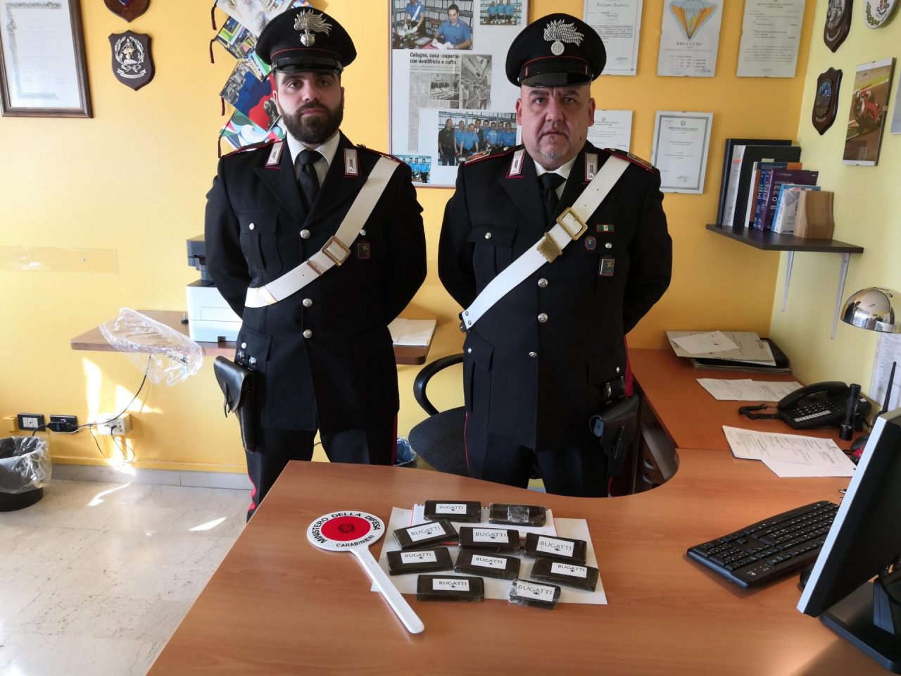 Un magazzino di droga nascosto tra i cespugli