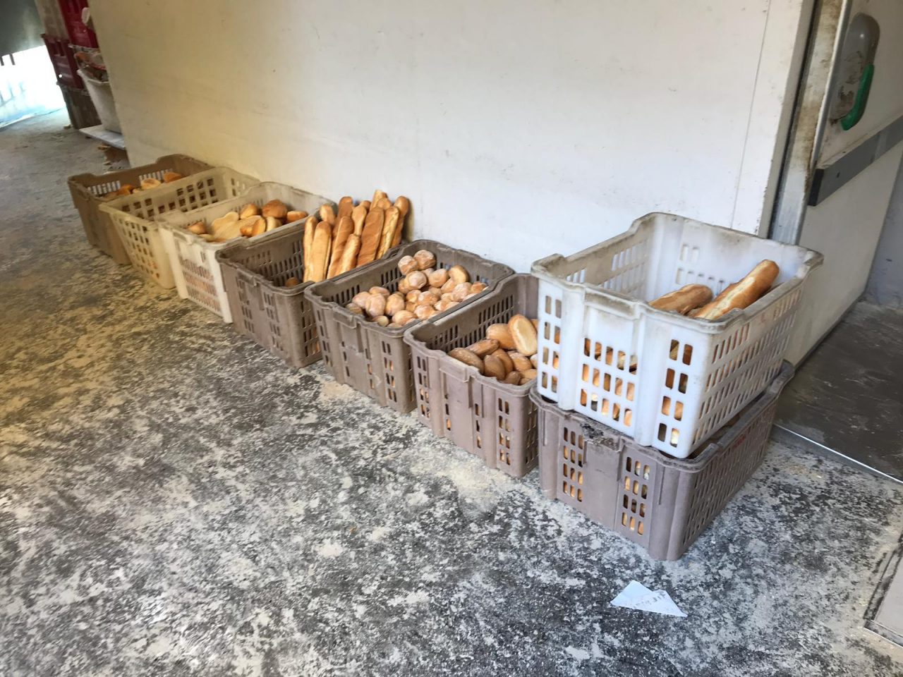 Blitz nel panificio da incubo FOTO