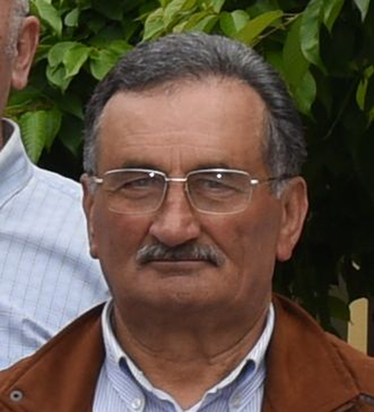 Luigi Fossati
