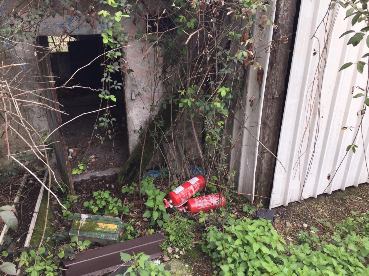 Vandali devastano la stazione FOTO