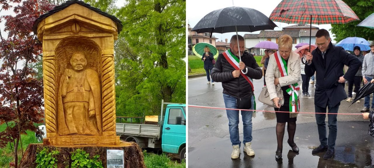L’enorme pioppo diventa una scultura di Papa Giovanni XXIII